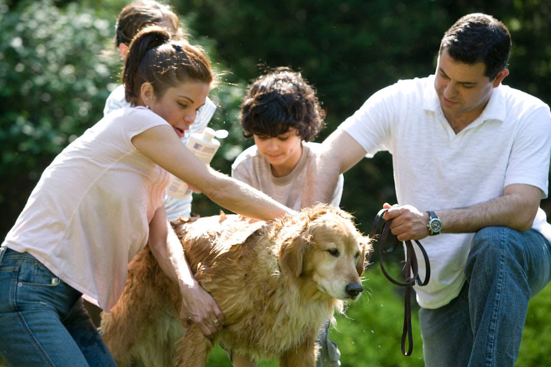 Posso Conviver Com Cachorro Com Leishmaniose? Riscos e Cuidados Para a Família