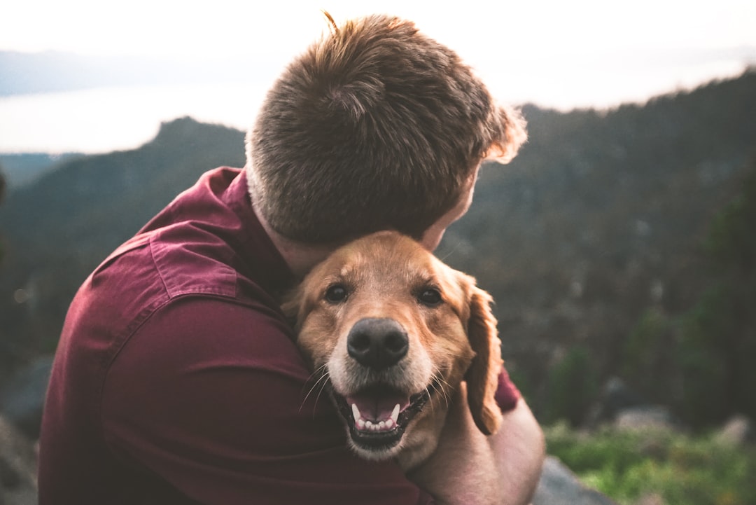 Como Dizer “Eu Te Amo” Para o Seu Cachorro: A Linguagem do Afeto Canino
